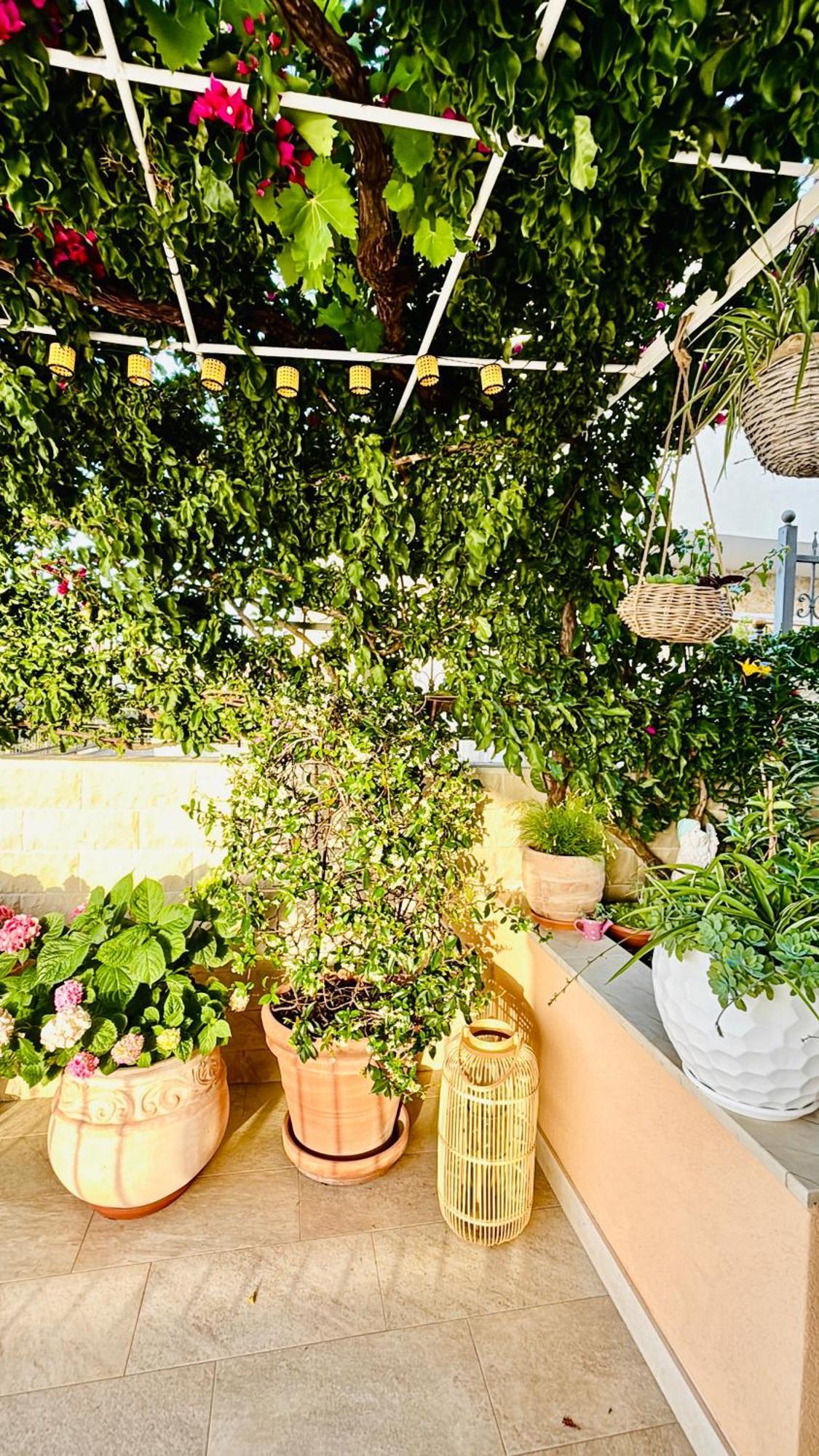 Apartment Sunny Elza 2 Hvar Town Kültér fotó